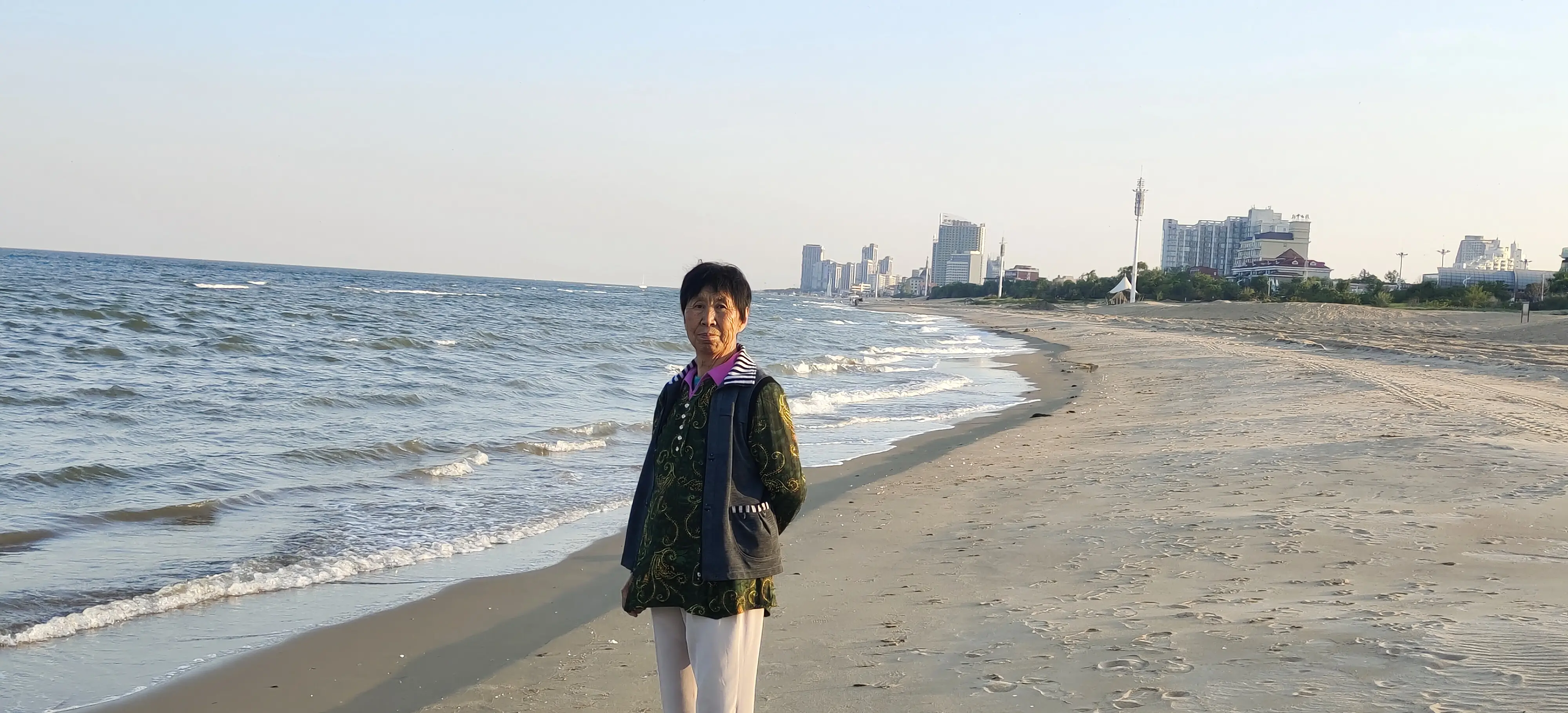 @作梦的人「忍冬」